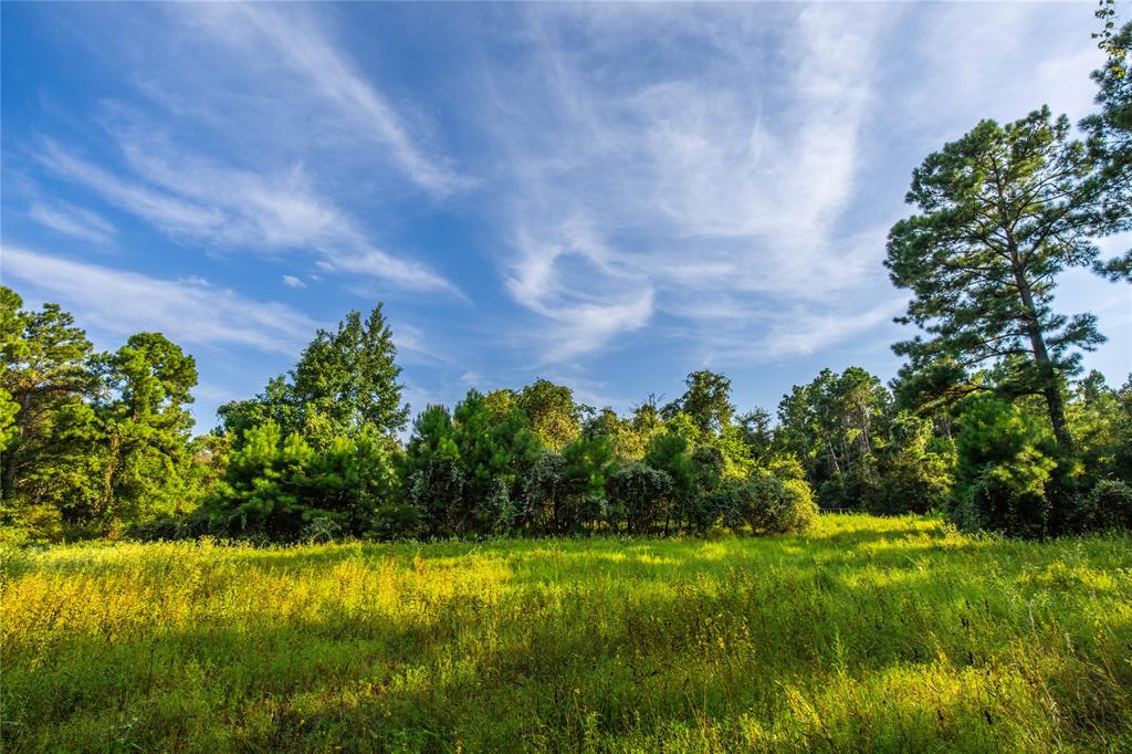 Tract 11 County Road 4222 - Photo 2