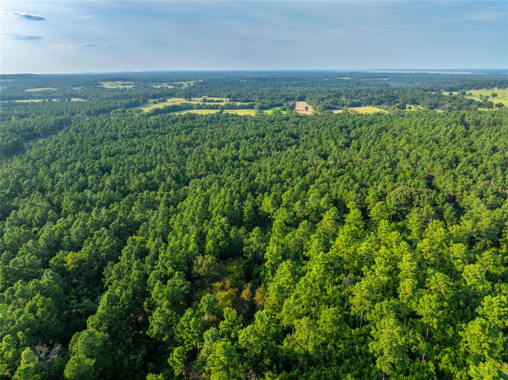 Tract 11 County Road 4222 - Photo 22