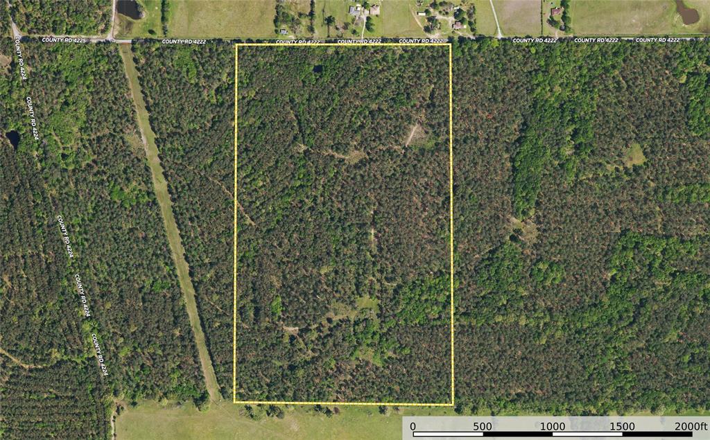 Tract 11 County Road 4222 - Photo 24