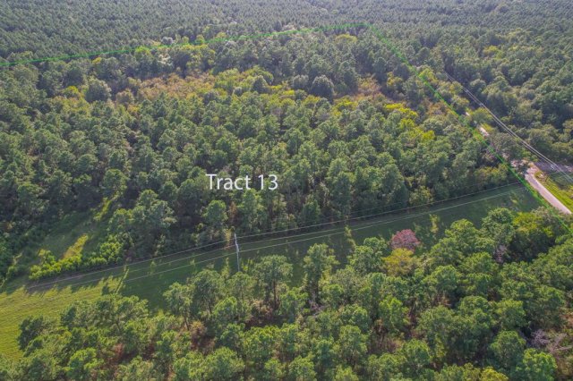 Tract 13 County Road 4224