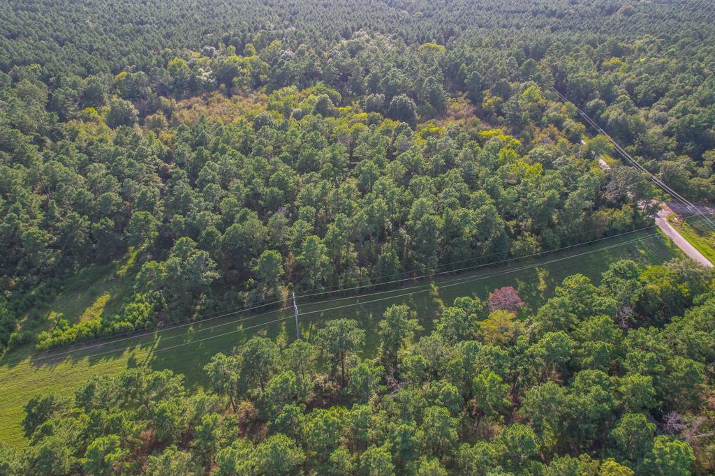 Tract 13 County Road 4224 - Photo 12