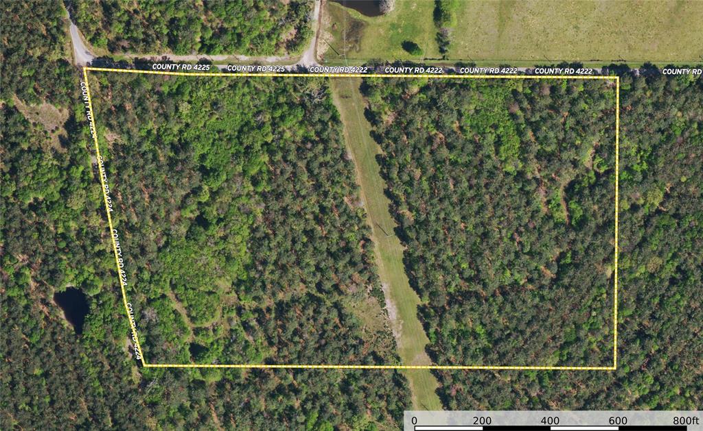 Tract 13 County Road 4224 - Photo 14