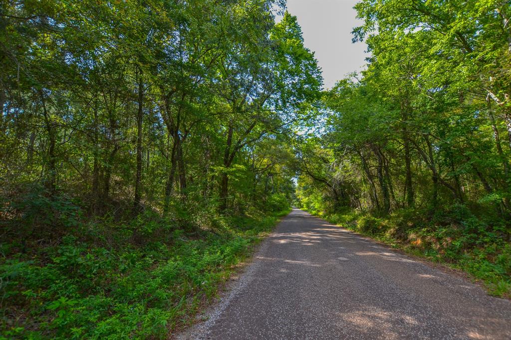 Tract 13 County Road 4224 - Photo 3
