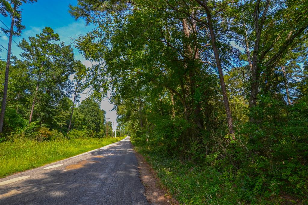 Tract 13 County Road 4224 - Photo 4