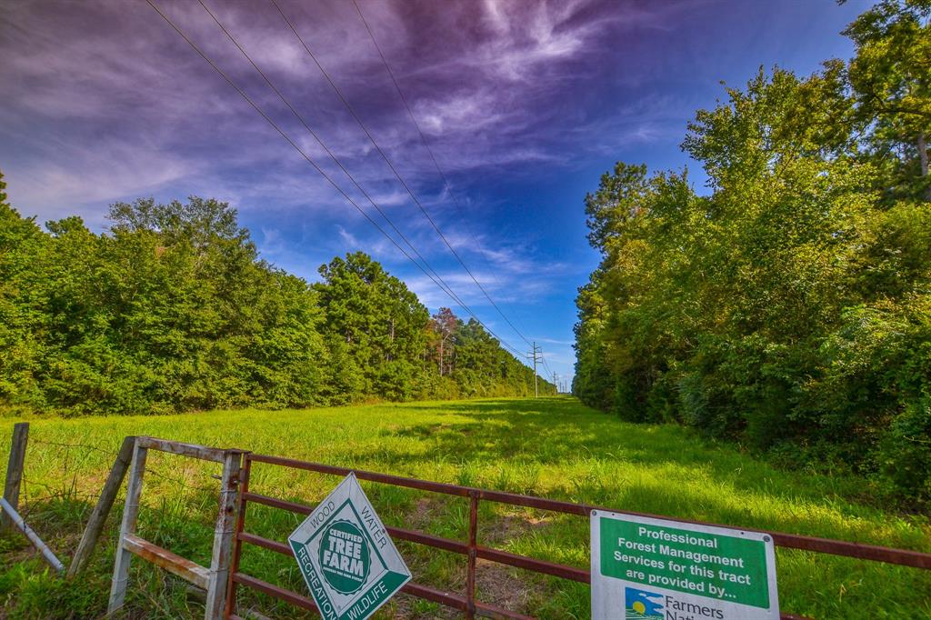 Tract 13 County Road 4224 - Photo 5