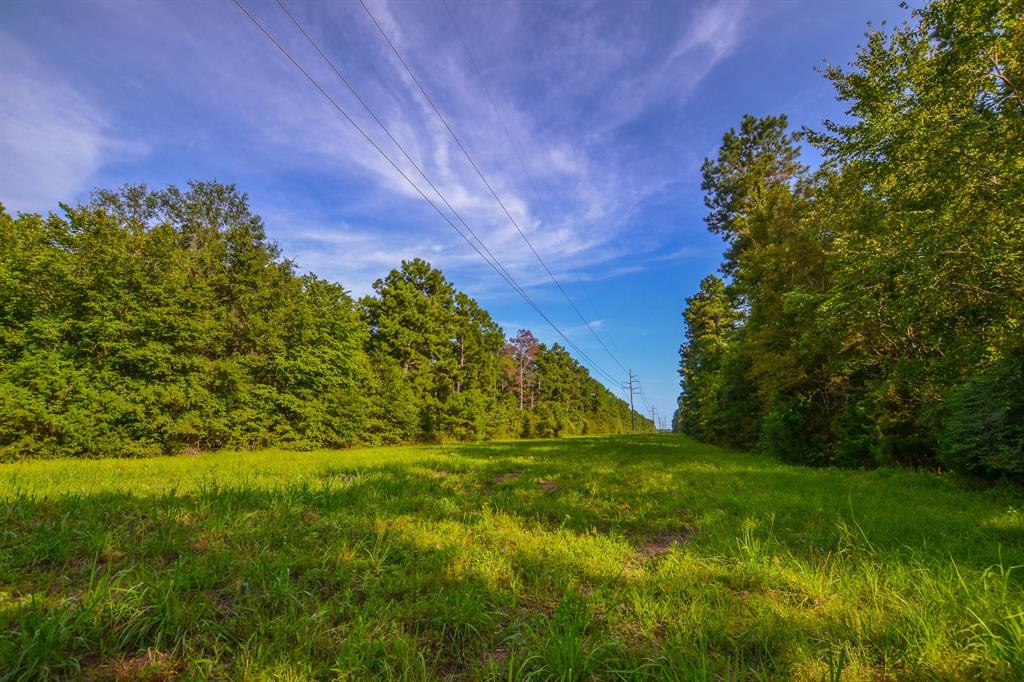 Tract 13 County Road 4224 - Photo 9