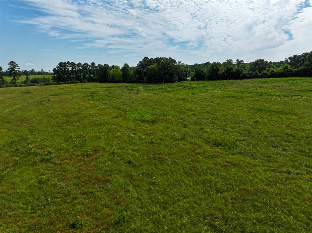 01 FM 2867 - Photo 6