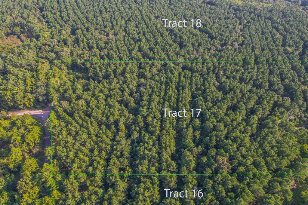 Tract 17 County Road 4224 - Photo 1