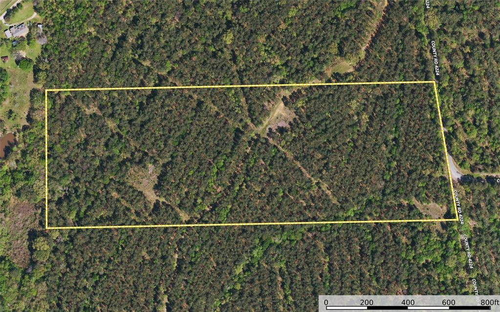 Tract 17 County Road 4224 - Photo 13