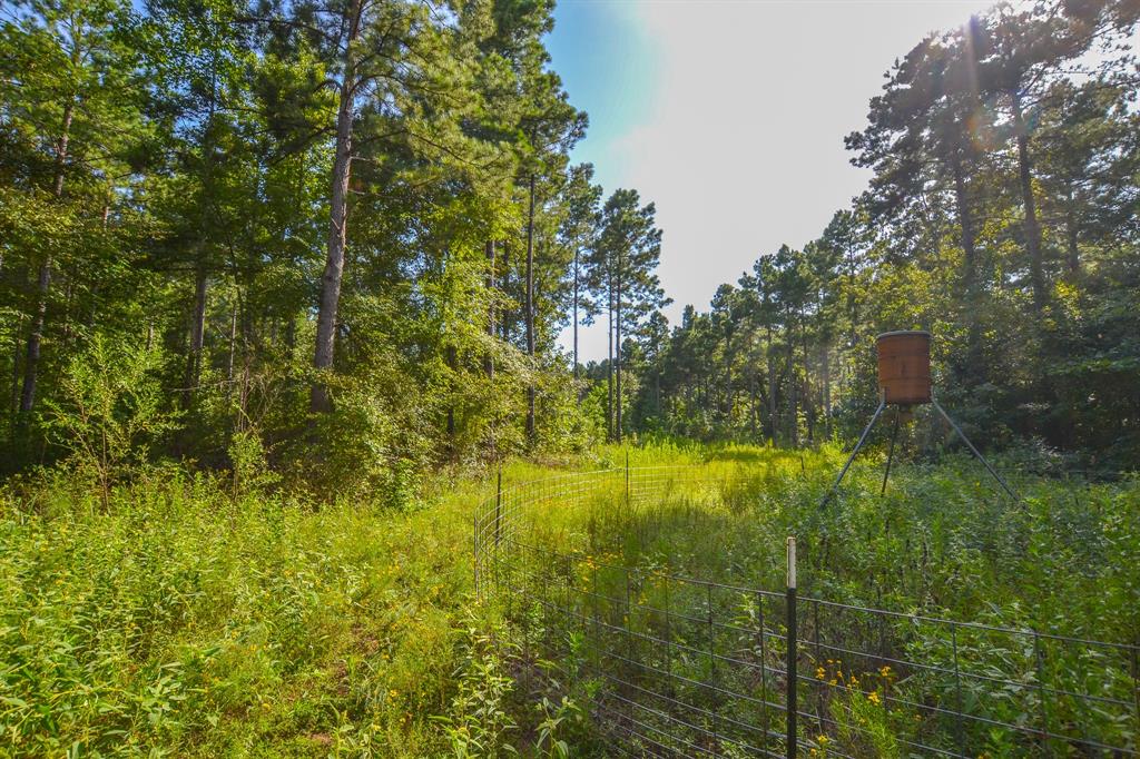 Tract 17 County Road 4224 - Photo 3