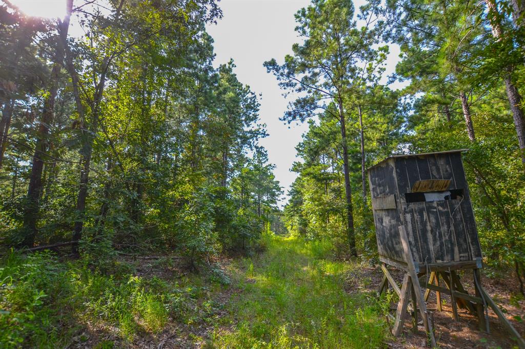 Tract 17 County Road 4224 - Photo 7
