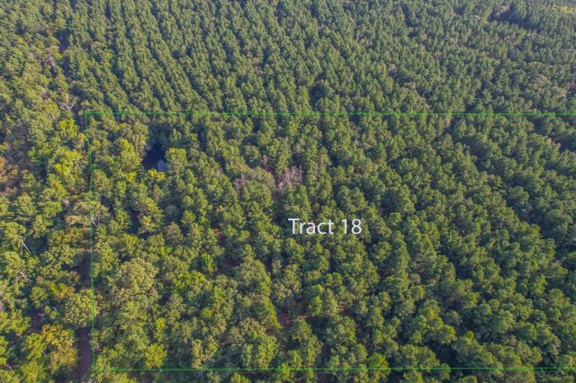 Tract 18 County Road 4224