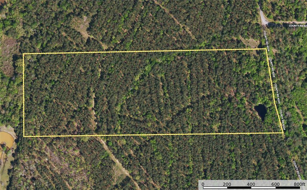 Tract 18 County Road 4224 - Photo 10