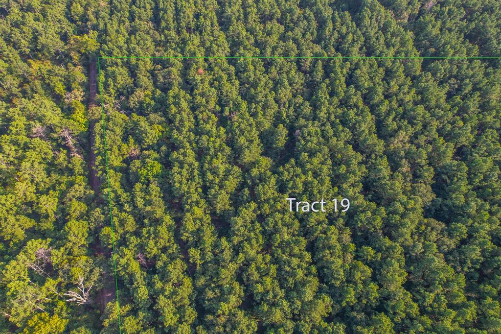 Tract 19 County Road 4224 - Photo 1