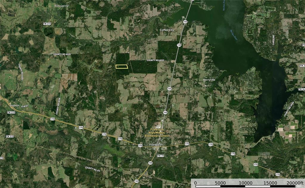 Tract 19 County Road 4224 - Photo 11