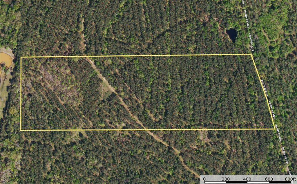Tract 19 County Road 4224 - Photo 9
