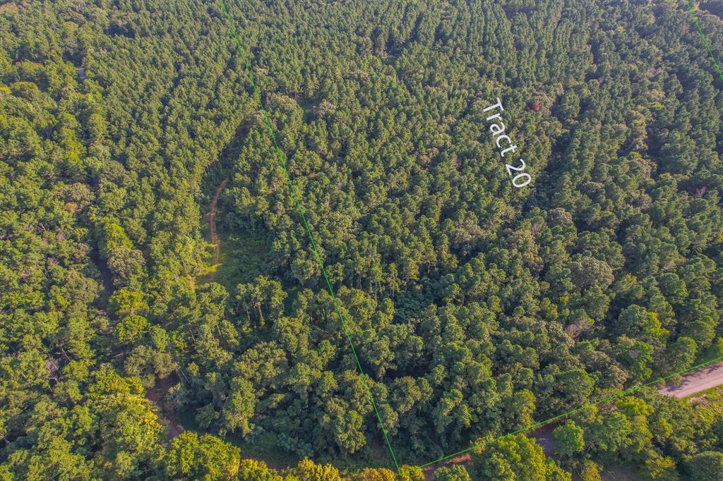 Tract 20 County Road 4224 - Photo 1