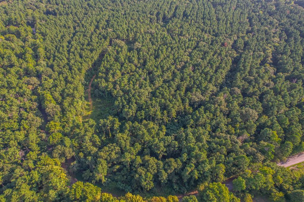 Tract 20 County Road 4224 - Photo 3