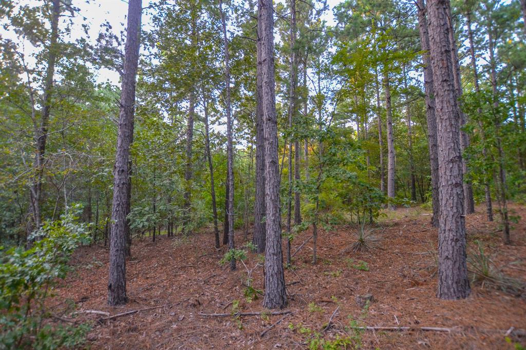 Tract 20 County Road 4224 - Photo 8