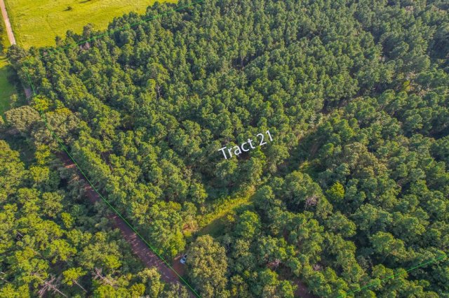 Tract 21 County Road 4224