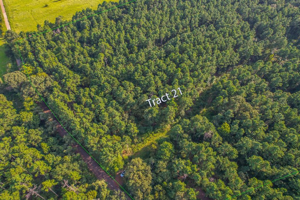 Tract 21 County Road 4224 - Photo 1