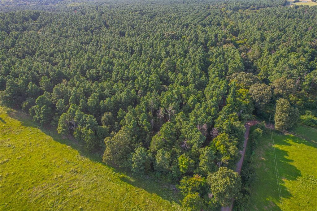 Tract 21 County Road 4224 - Photo 2