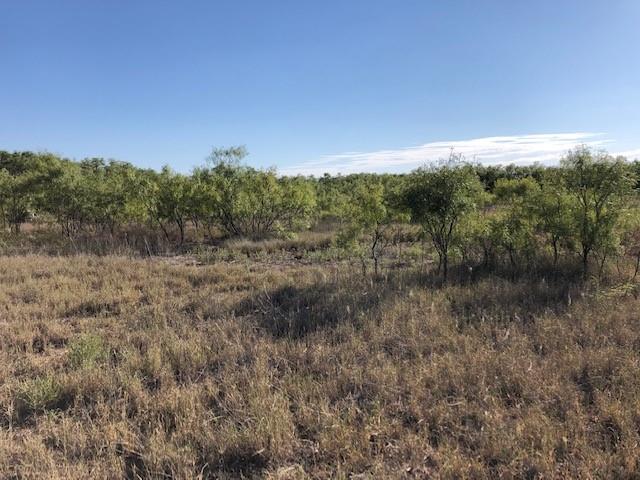 200 FM 1085 - Photo 10