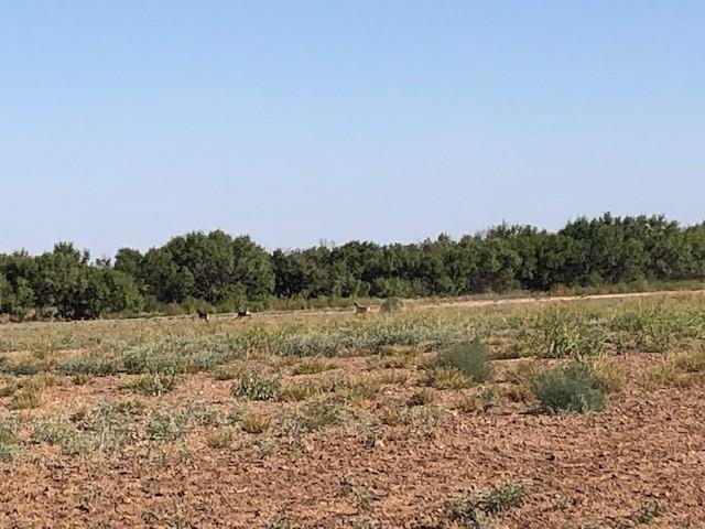 200 FM 1085 - Photo 13