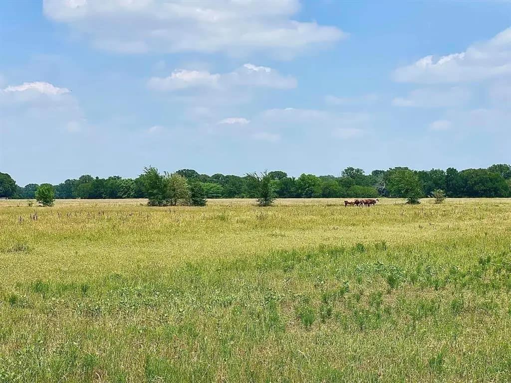 12053 S 34 Highway - Photo 2
