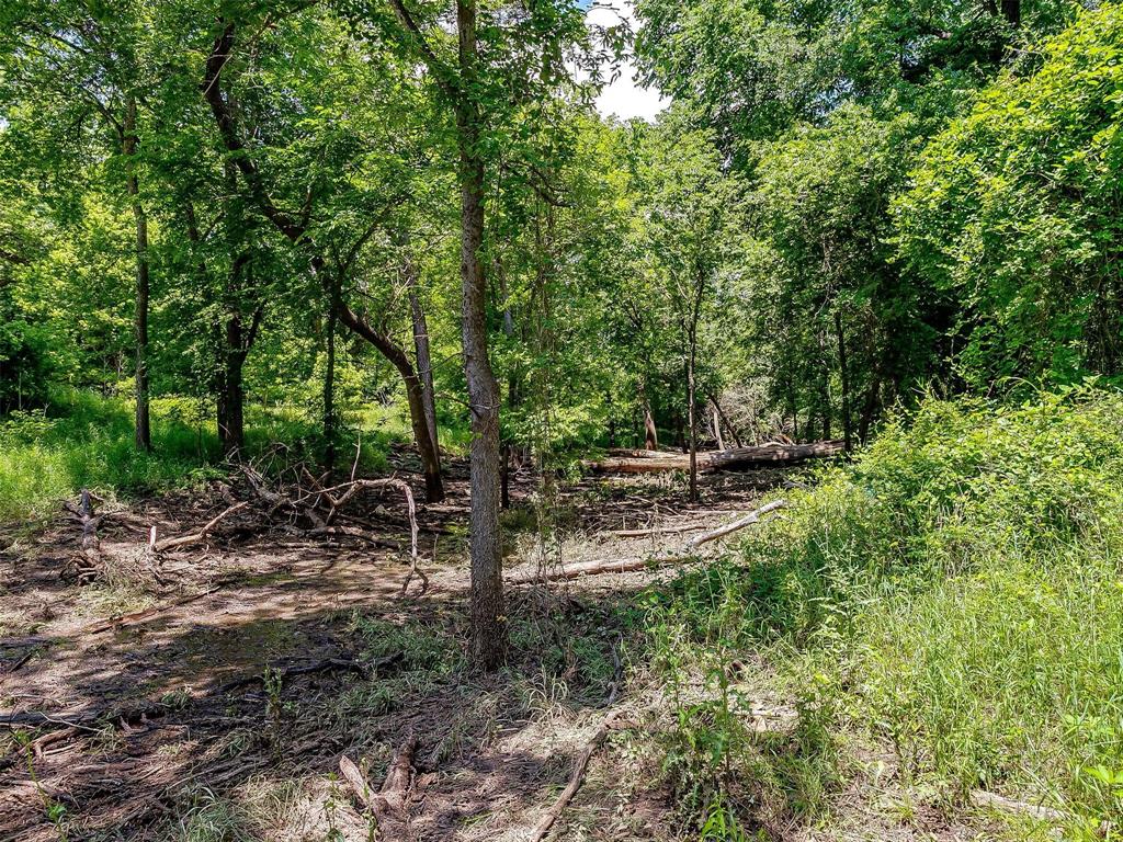 10849 County Road 1117 - Photo 11