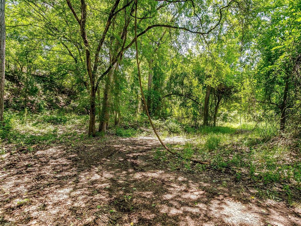 10849 County Road 1117 - Photo 13