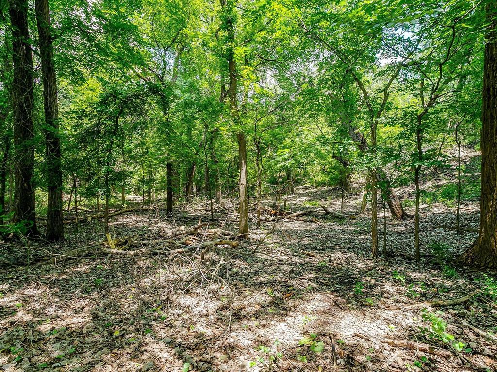 10849 County Road 1117 - Photo 14