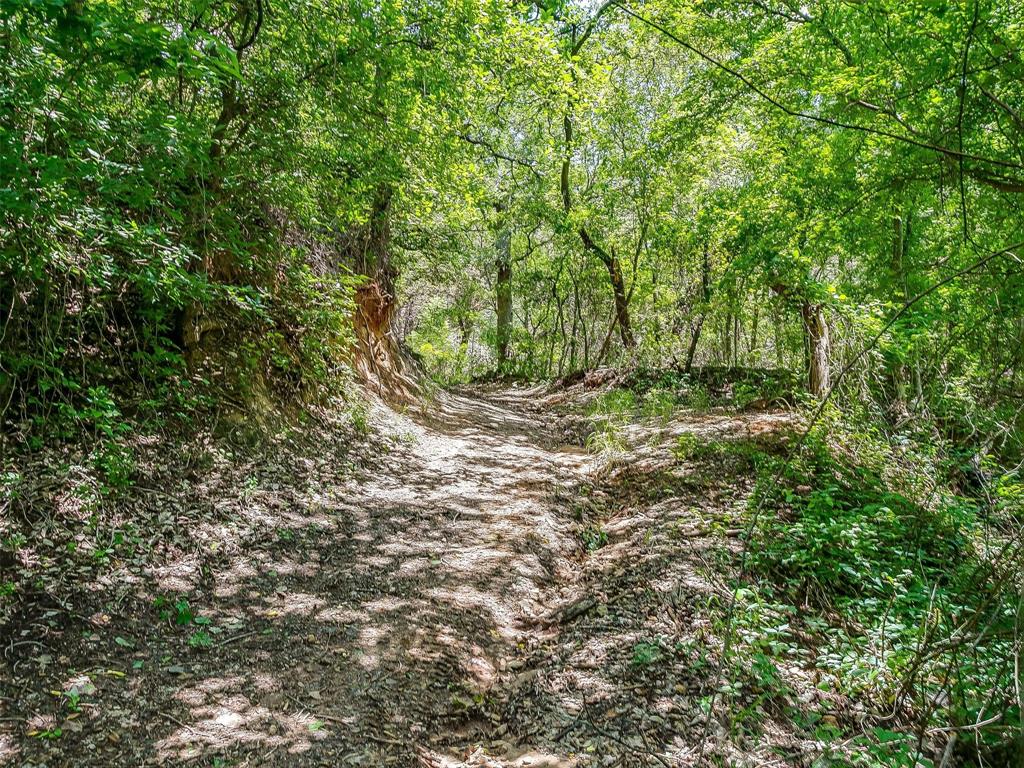 10849 County Road 1117 - Photo 15