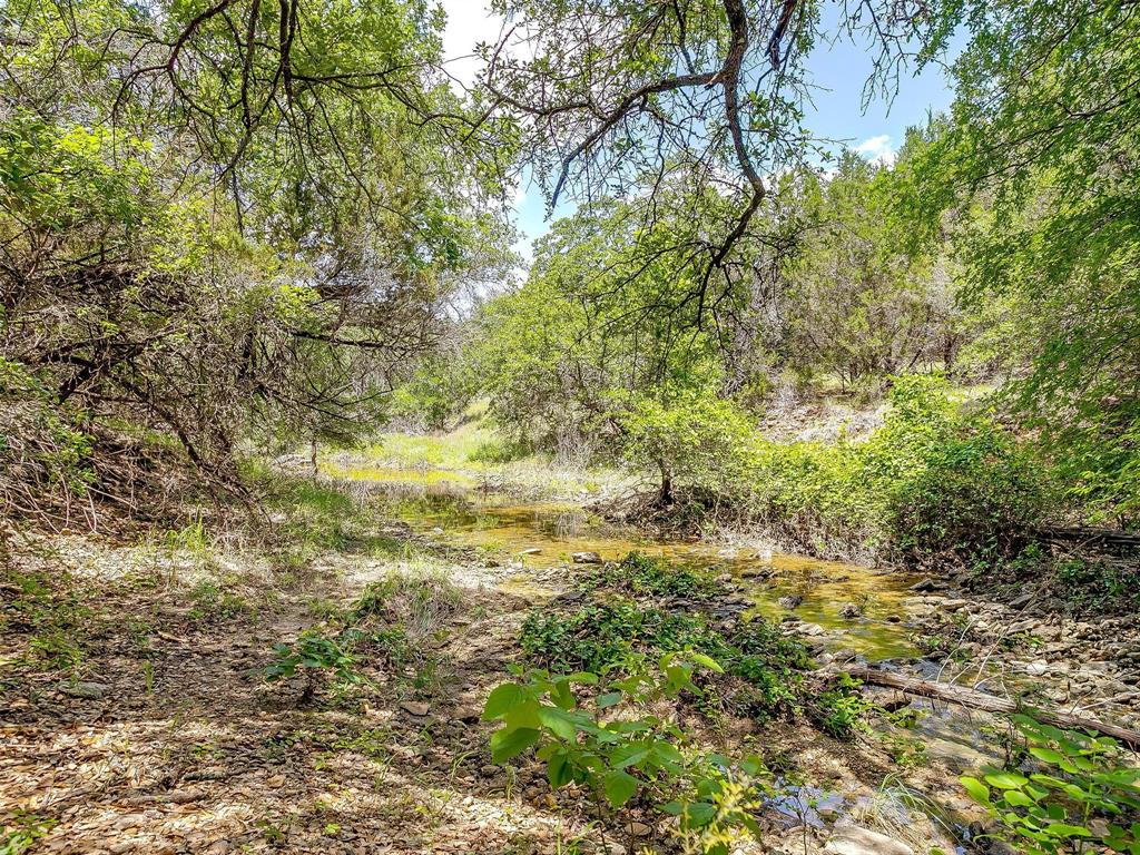 10849 County Road 1117 - Photo 16