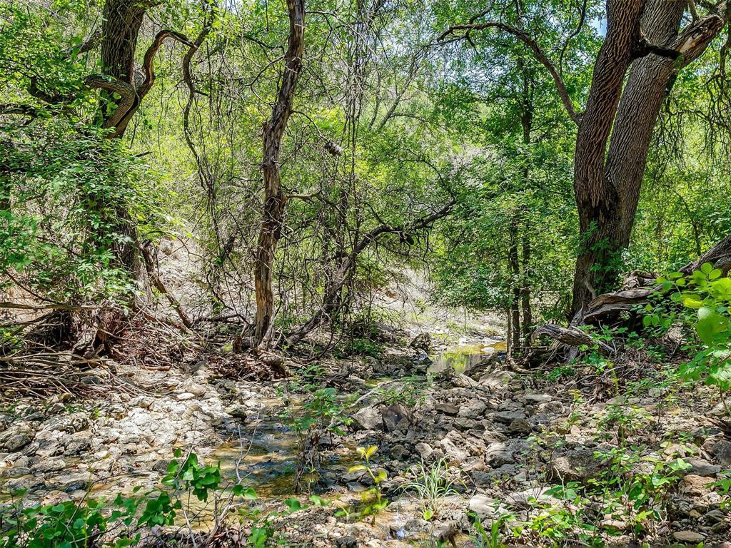 10849 County Road 1117 - Photo 17