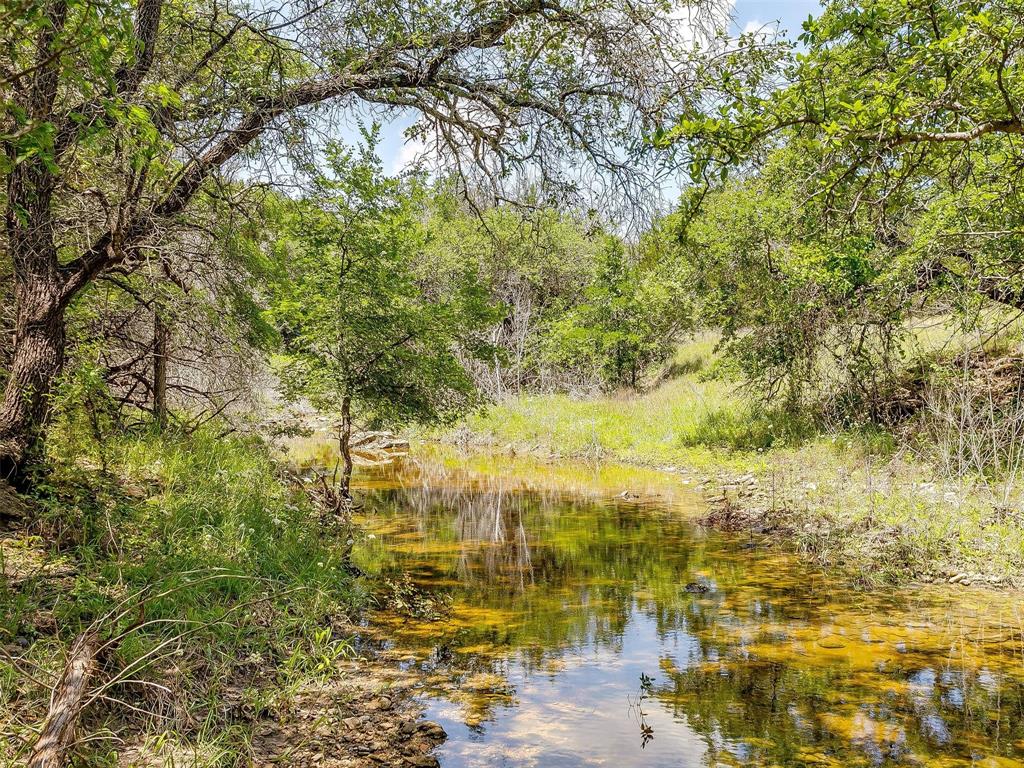 10849 County Road 1117 - Photo 18