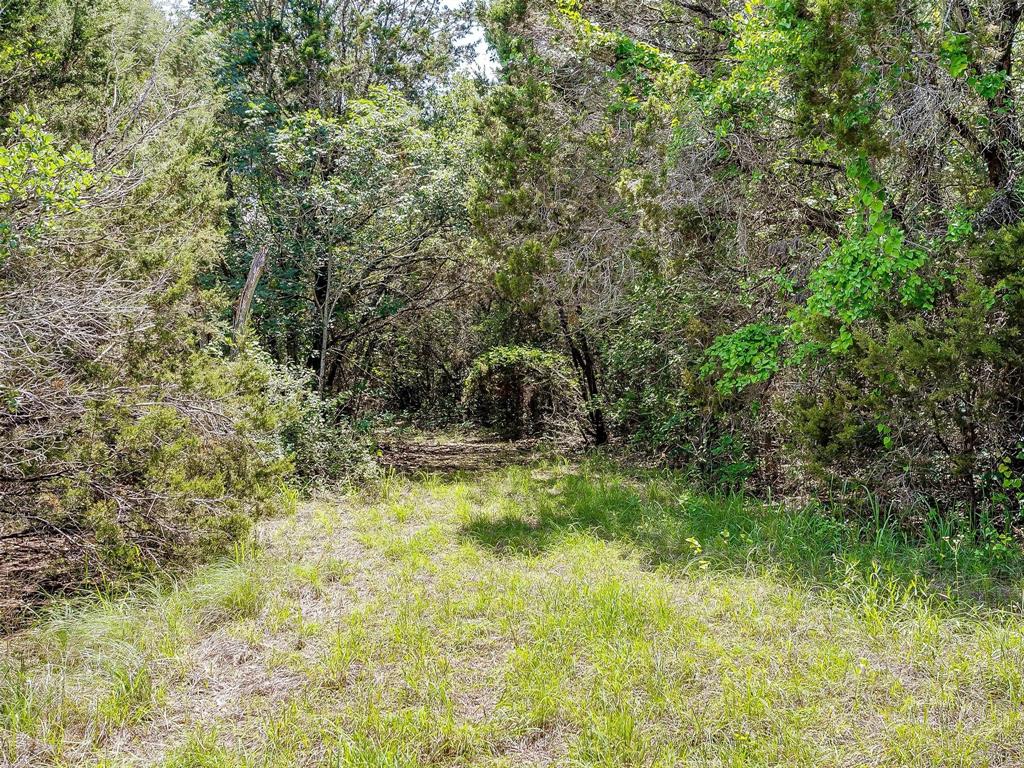 10849 County Road 1117 - Photo 20