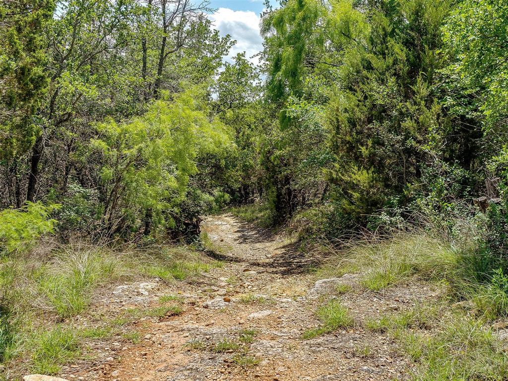 10849 County Road 1117 - Photo 23