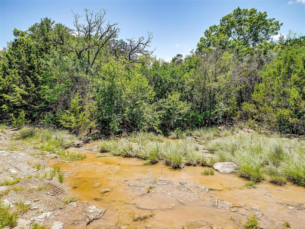 10849 County Road 1117 - Photo 26