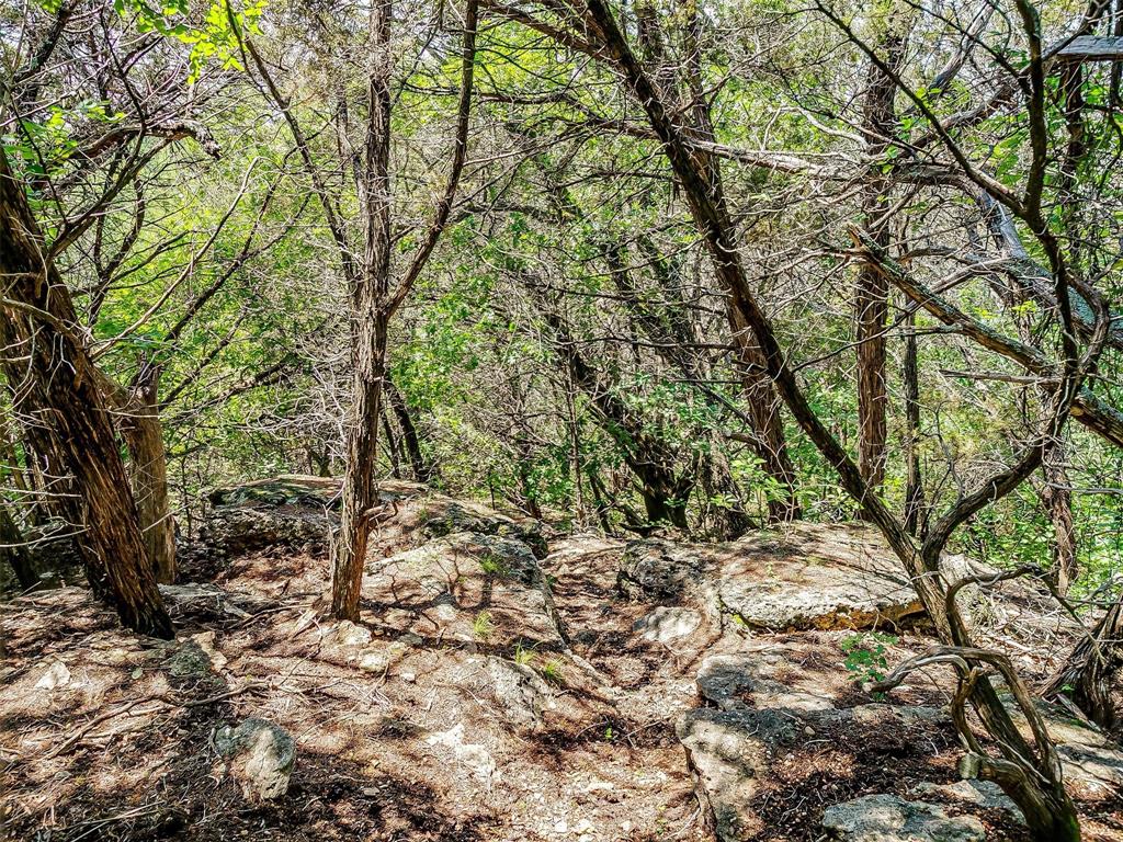 10849 County Road 1117 - Photo 28