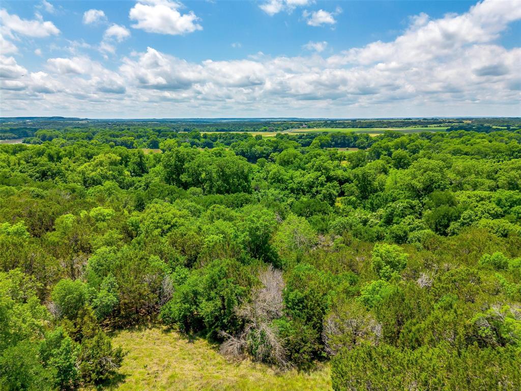10849 County Road 1117 - Photo 3