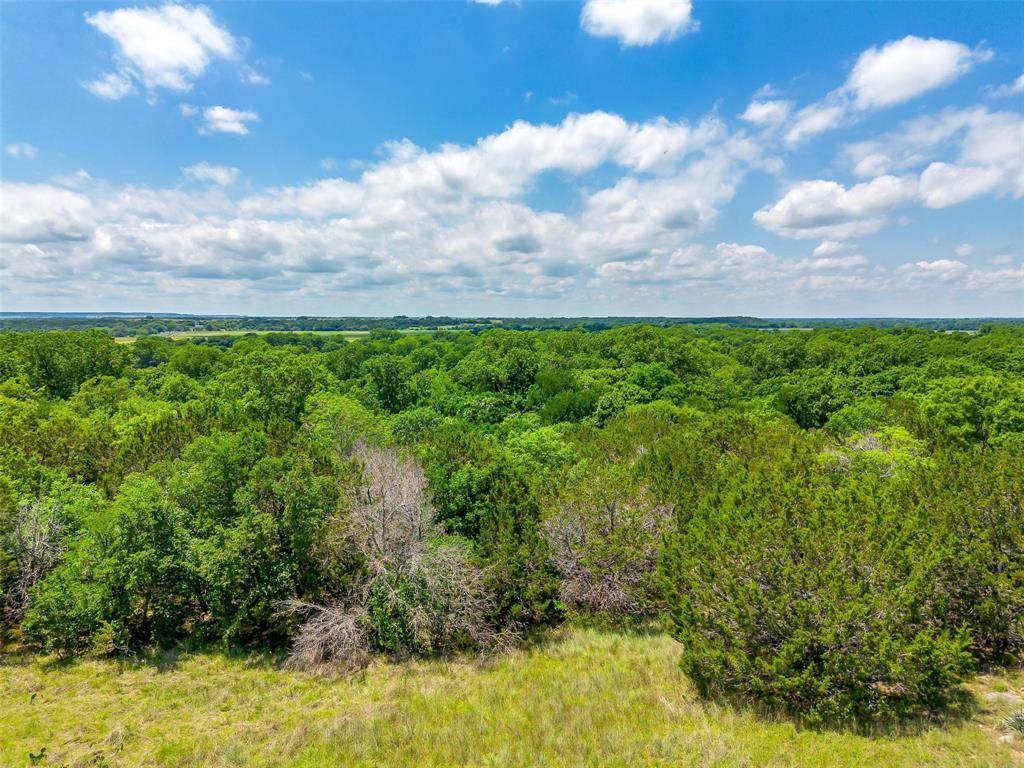 10849 County Road 1117 - Photo 32