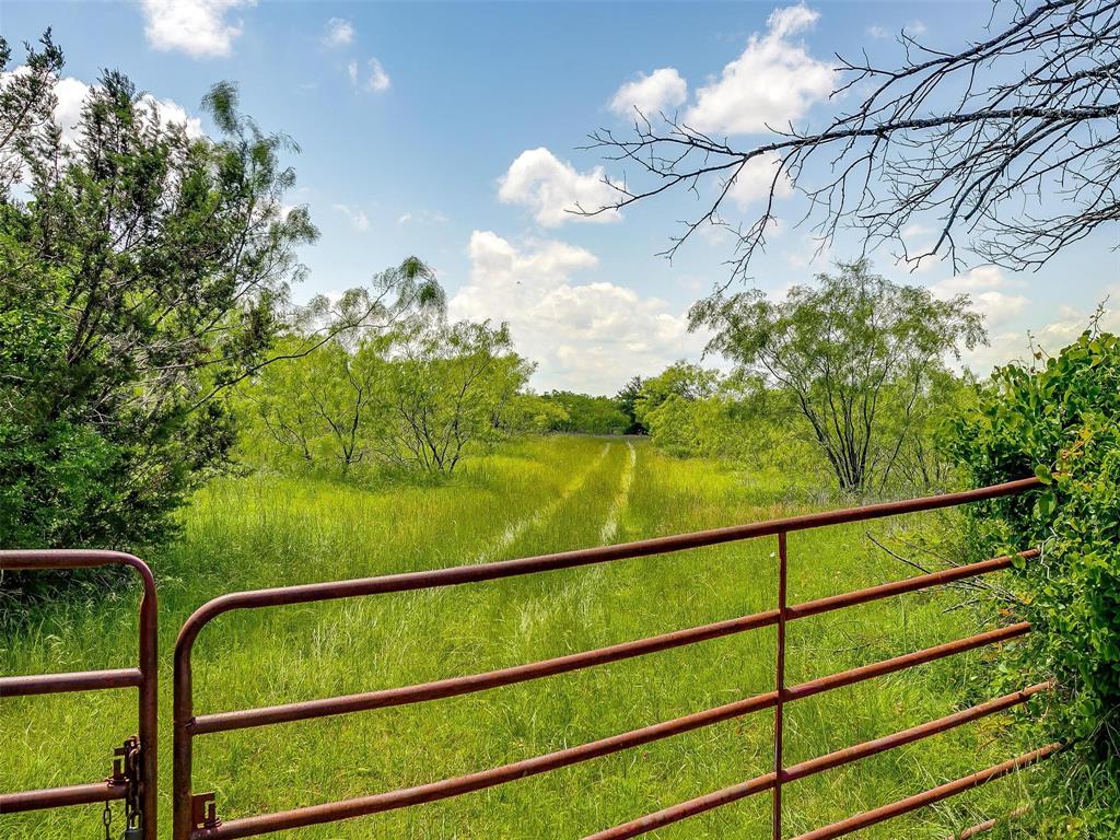 10849 County Road 1117 - Photo 4