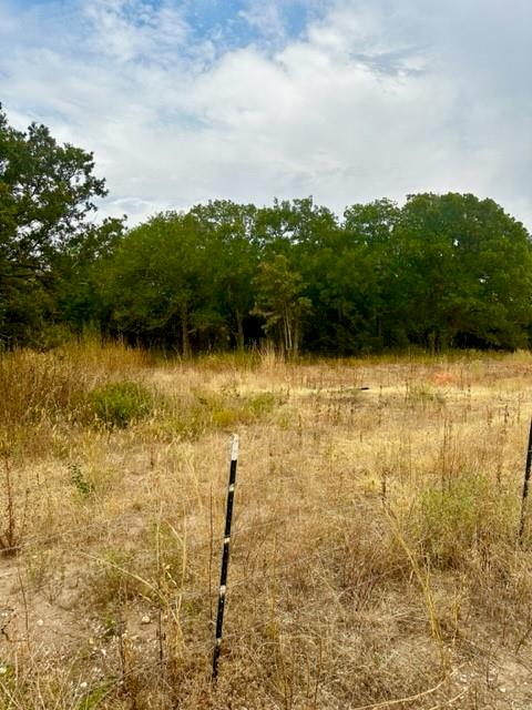 1 Tract 1 Private Rd 3508 - Photo 1