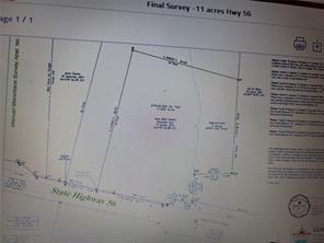 11 Acres State Hwy 56 - Photo 2