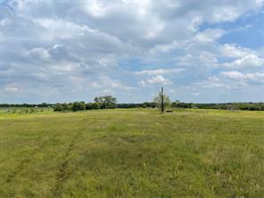 TBD Old Sherman Road Road - Photo 3