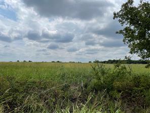 TBD Old Sherman Road Road - Photo 4