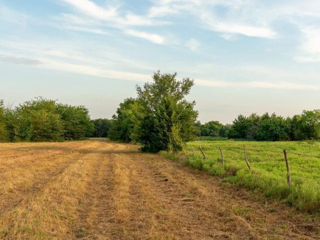 TBD county road 3660 COUNTY ROAD 3660