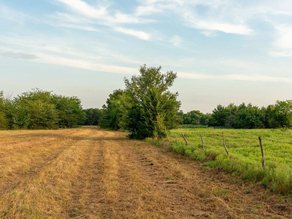 TBD county road 3660 COUNTY ROAD 3660 - Photo 1