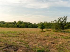 TBD county road 3660 COUNTY ROAD 3660 - Photo 10